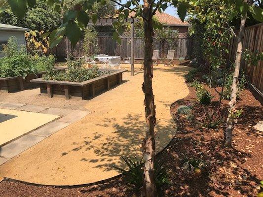 Beautiful yard Makeover in North Berkeley