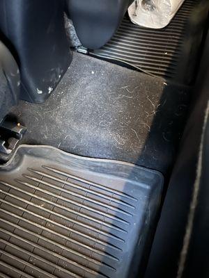 Dirty rear floorboard