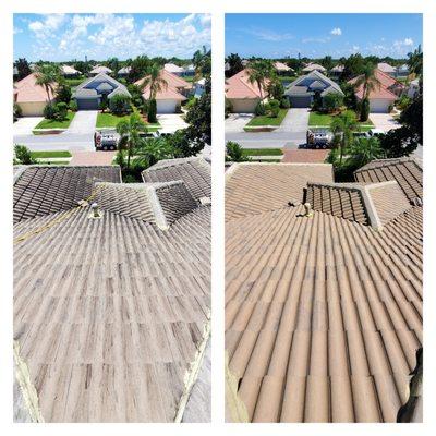 Brevard Low Pressure Roof Cleaning