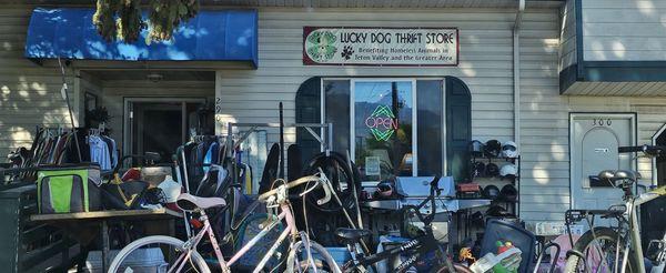 Title: A Hidden Gem! Lucky Dog Thrift Store Shines Bright