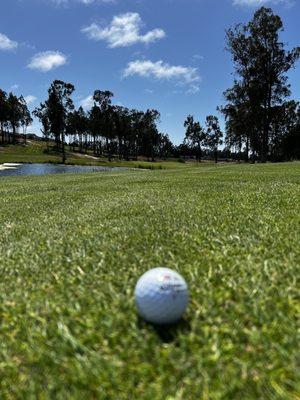 Beautiful fairways, challenging approaches