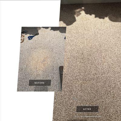 Bleach spot carpet repair work