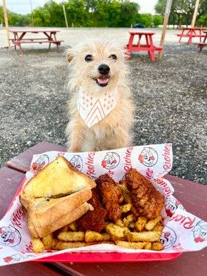 Chicken tenders