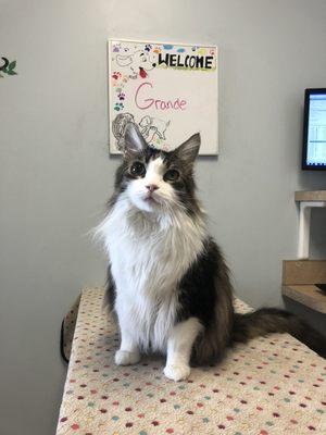 First visit, ever since they've always put his name on the board in the room which is a nice little touch!