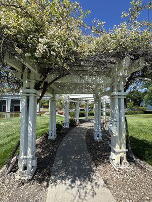 Lovely archway with lots of greenery