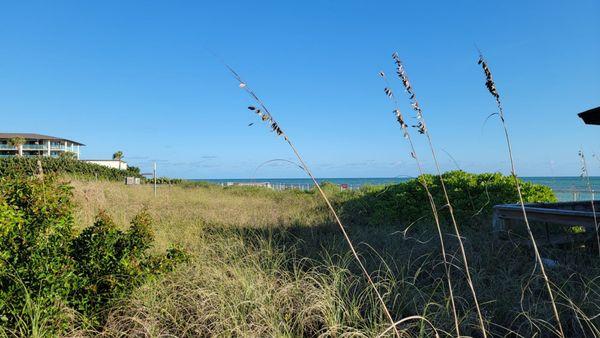 Humiston Park in Vero Beach, Florida.