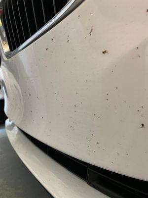 bug grime