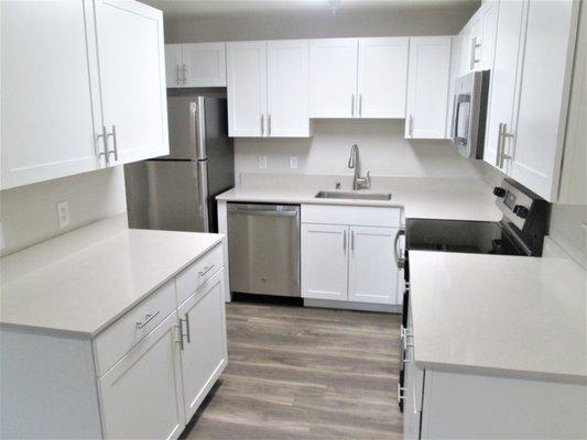 Large Renovated Kitchen