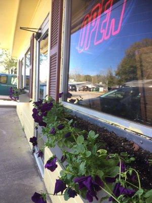 Purple petunias in the front planters