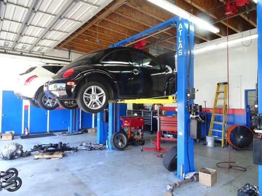 AAMCO Transmissions & Total Car Care