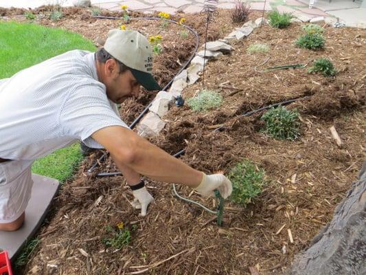 Installing micro system in garden bed.