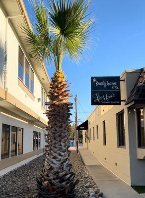 The Beauty Lounge & Co, a hidden gem in downtown Tracy, CA