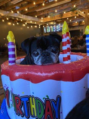 Valentino's 15th bday at Chill N Fill!