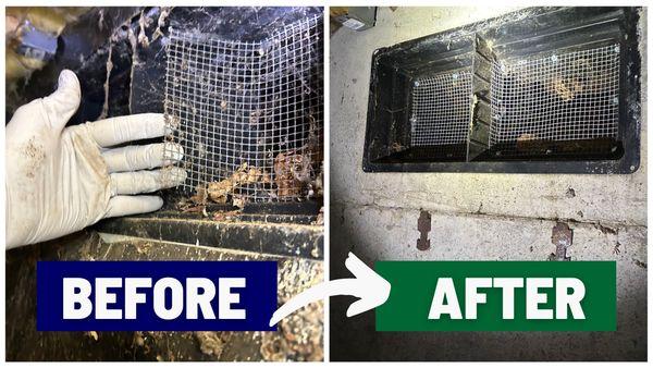 Before and after: Sound Crawls secures an open crawl space with wire mesh, preventing animals and pests from entering.