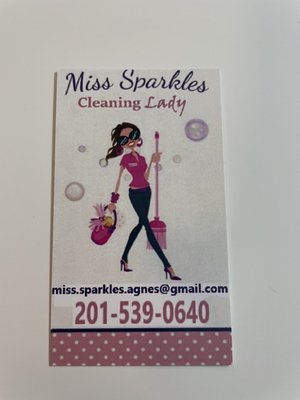 Miss Sparkles Cleaning Lady