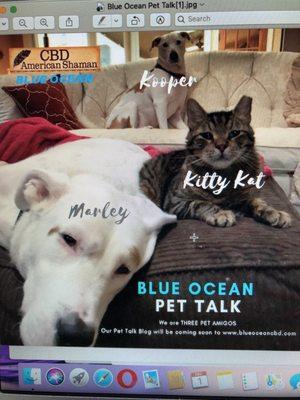 CBD can help your family pets. Join our pets for pet talk.