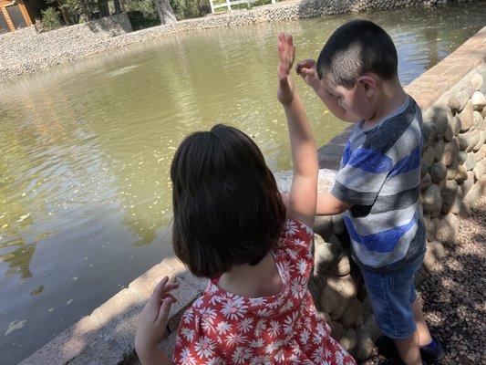 Kiddos feeding the trout