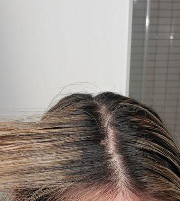 Michael's uneven $500+ "highlights"