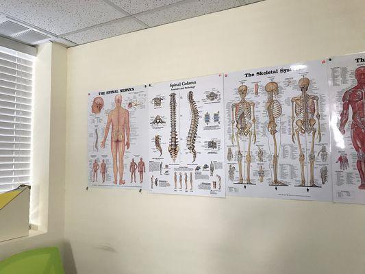 New York Acupuncture & Chiropractics