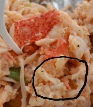 See these shred's, Lobster meat will not shred into pieces like that