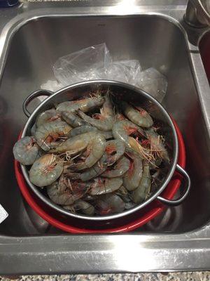 Fresh Georgia Shrimp!!! Best in Georgia!