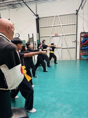 Learning kung fu move