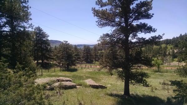 Out showing property and this was the front yard of a beautiful mountain property with a log home on it...