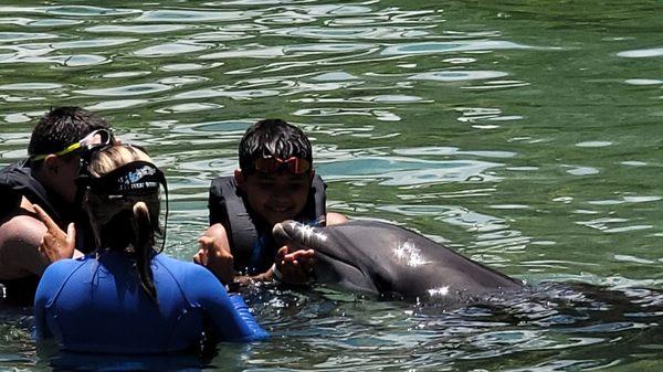 Dolphin quest experience on 8/11/21