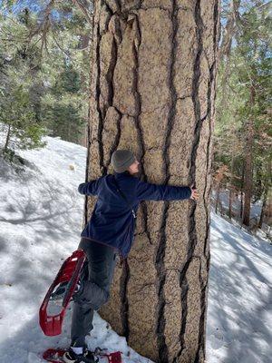 My snowshoe adventure (we certainly needed them)