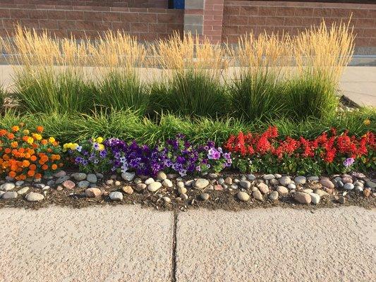 We plant and maintain annual flower beds