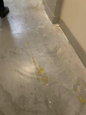 Smashed raw eggs, over three weeks old in corridor