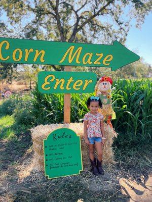 Corn Maze