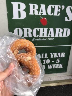 Apple cider donuts