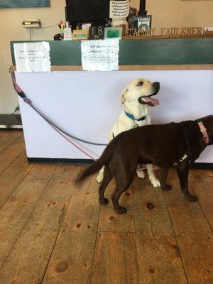 Front desk check in. They have a leash hook for easy paying.