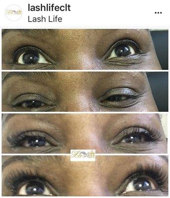 Lash Life