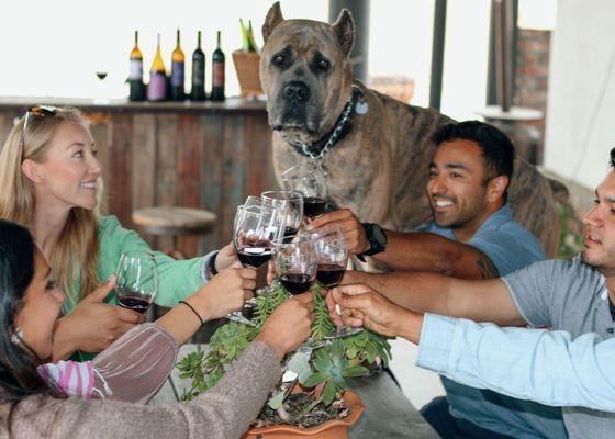 Our wines pair best with friends!