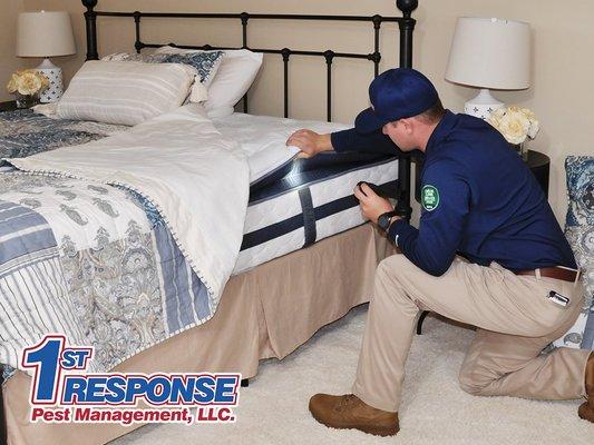 1st Response Pest Management