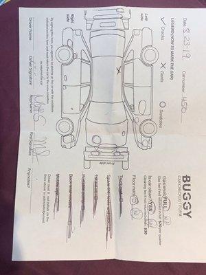 Buggy TLC Rentals