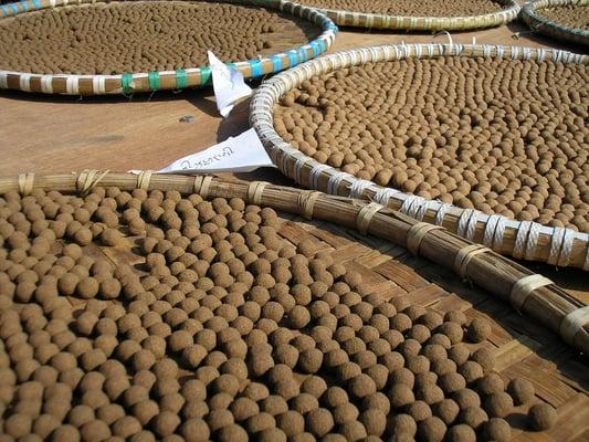 Tibetan Medicine being dried in the sun, to give a heating potency