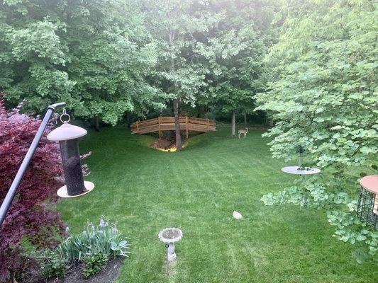 Our Beautiful Backyard Thanks to J&K Landscaping!