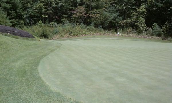 View of the par 4 15th green with the big rock.