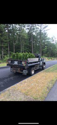 Arborvitae Installation Holden, Ma