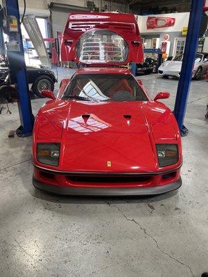 F40 "unicorn alert"