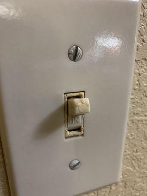 Chewed up light switch room 211