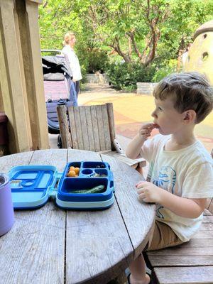 Picnic at the Arboretum