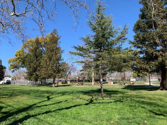 Picnic tables and greenery