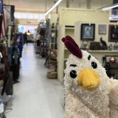 Charmin has an eye for antiques and he means business.