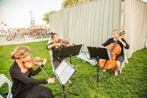 Eliana Strings at The Catamaran Resort