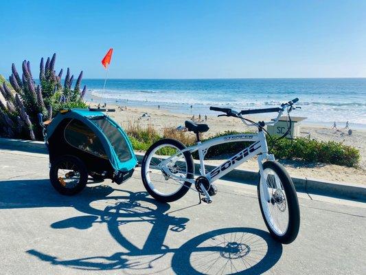 Fat Tire Beach Cruiser