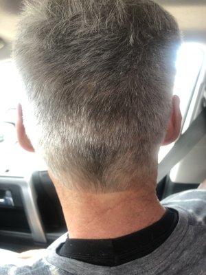 Perfect round shape to the nape- fade! My silver fox!!